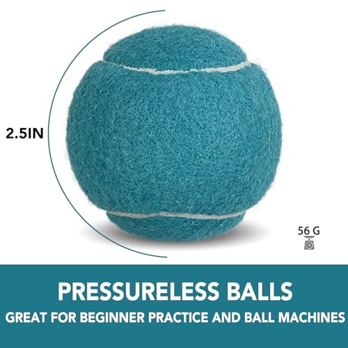 INSUM Bulk Tennis Balls for Beginner – 12 Pack High Elasticity Practice Tennis Balls with Mesh Bag, Suit for Pet Dog Training, Fetching - color: Dark Blue-N