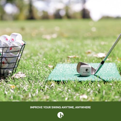 BirdieBall Practice Golf Balls (12 Pack) – The Original Premium Limited Flight Practice Ball, Patented Realistic True Spin & Feel, Practice Full Swings in 40 Yards, Home/Indoor/Backyard Training