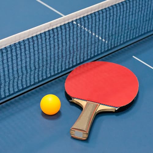PATIKIL 11" x 7" Table Tennis Racket Case Cover, Table Tennis Racket Paddle Carry Bag with Ball Storage Pocket, Blue