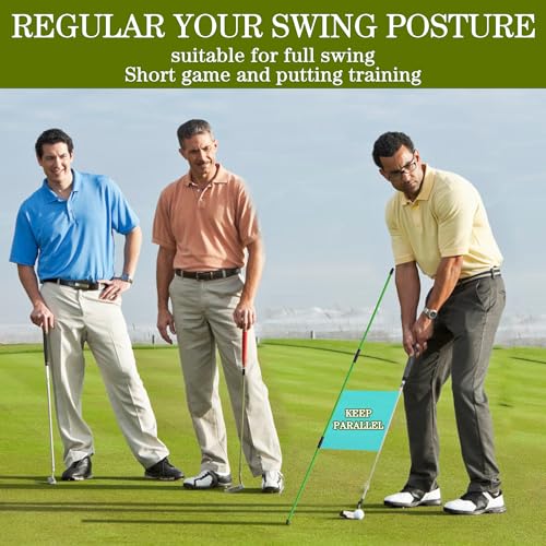 Seticek Golf Alignment Sticks 2 Pack,Upgraded 48" Collapsible Alignment Stick Golf Training Aid for Aiming, Putting, Swing Trainer, Golf Training Sticks with Clear Tube Case - color: Green, style: 2 Pack