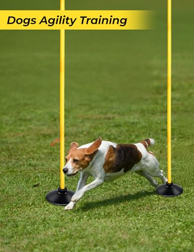 SEAOTTER Soccer Agility Poles Set, 4/6/10 Pcs 6ft Detachable Sports Trainning Speed Poles Slalom Poles with Rubber Base, Agility Training Equipment for Football, Rugby, Basketball, Indoor & Outdoor