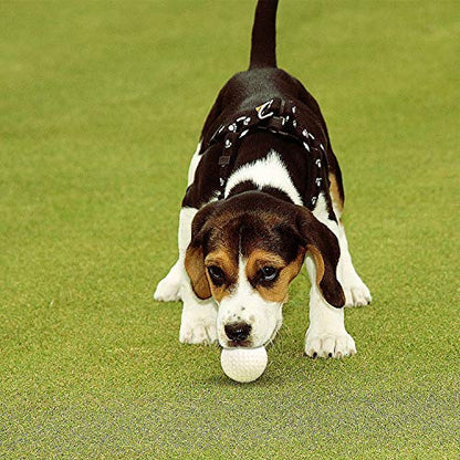 40 Pack Foam Golf Practice Balls - Realistic Feel and Limited Flight Training Balls for Indoor or Outdoor