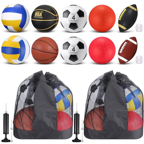 Deekin 12 Pcs Assorted Sport Ball Set for Kids Official Size Basketball Football Volleyball Soccer Baseball Playground Ball with Bag and Pump for Kid Youth Gift - color: Bright