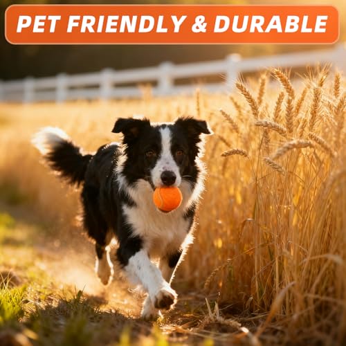 PoyPet 16-Pack Tennis Balls Bulk for Practice,Training and Beginners | Ideal for Dog Fetch,Chew and Play - color: Orange