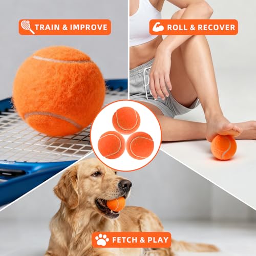 PoyPet 16-Pack Tennis Balls Bulk for Practice,Training and Beginners | Ideal for Dog Fetch,Chew and Play - color: Orange