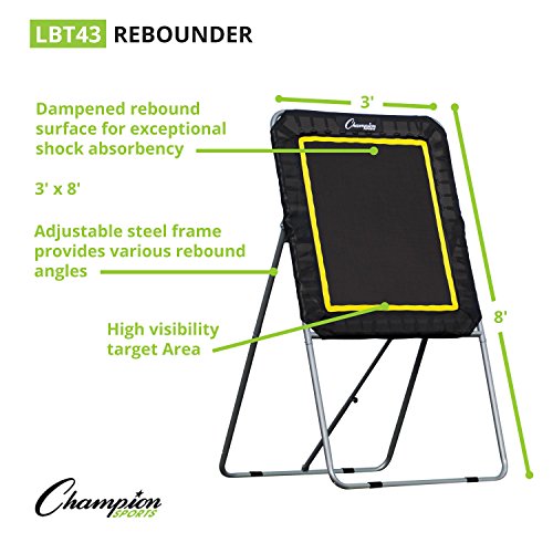 Champion Sports Deluxe Lacrosse Target: Ball Return Bounce Back Net Set for Professional, College and Grade School Training & Drills - style: Deluxe Rebounder (3' x 4')