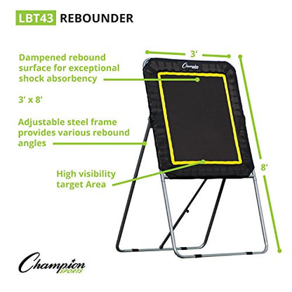 Champion Sports Deluxe Lacrosse Target: Ball Return Bounce Back Net Set for Professional, College and Grade School Training & Drills - style: Deluxe Rebounder (3' x 4')