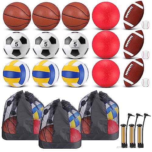Leyndo 18 Pcs Sport Balls Bulk Set Basketball Football Volleyball Soccer Playground Baseball with Sport Equipment Bag Pump for Adults Gifts Outdoor Indoor - color: Brown