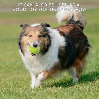 SHYUJAJIE Tennis Balls, 20 Pack Training Tennis Balls,High Elasticity Practice Tennis for Beginner, Exercise Playing Balls for Pet Dog - color: Pink