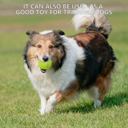 SHYUJAJIE Tennis Balls, 20 Pack Training Tennis Balls,High Elasticity Practice Tennis for Beginner, Exercise Playing Balls for Pet Dog - color: Multicolour