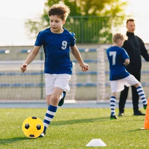 Silent Soccer Ball, Sponge Foam Footba ll,High Density Soft Quiet so ccers, No Noise Bouncing Ba ll Quiet Training for Home Practice, Home Training,Suitable for Boys and Girls,8.27in
