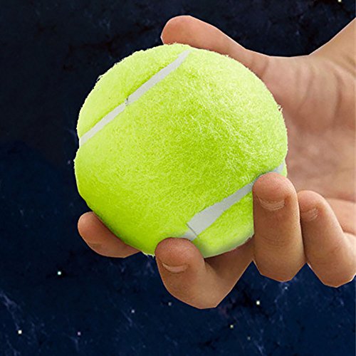 Practice Tennis Balls, Standard Training Exercise Tennis Balls, Rubber Balls for Beginners, Pack of 15