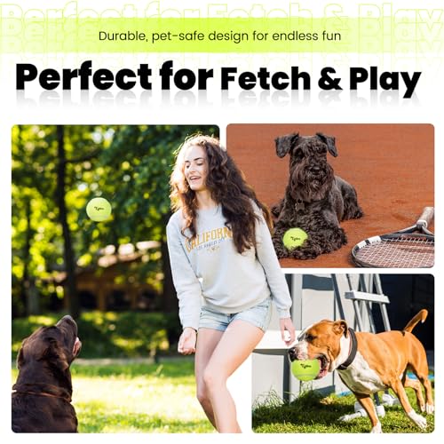 Egles 12/20/60 Packs Tennis Balls for Training and Dogs, High Elasticity Practice Tennis Ball with Mesh Bag for Transport and Beginner Exercise, Durable Pet Playing Tennis Ball Set - size: 20