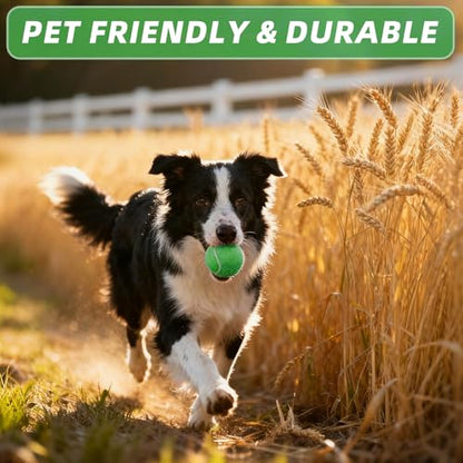 PoyPet 16-Pack Tennis Balls Bulk for Practice,Training and Beginners | Ideal for Dog Fetch,Chew and Play - color: Green