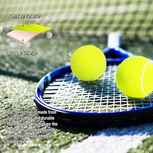 24 Pack Tennis Balls, Training Tennis Balls, Pet Dog Playing Balls, Practice Tennis Balls with Mesh Bag for Transport and Beginner Training - color: Colorful-24Pack