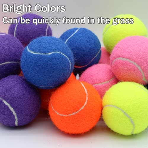 SHYUJAJIE Tennis Balls, 20 Pack Training Tennis Balls,High Elasticity Practice Tennis for Beginner, Exercise Playing Balls for Pet Dog - color: Multicolour