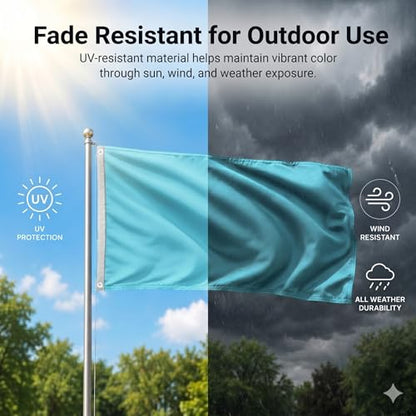 DMSE Solid Light Blue Flag, 3x5 Flag, UV Resistant, Fade Resistant Material with Metal Grommets (3ft x 5ft), (Polyester), (Light Blue) - color: Light Blue, size: Polyester (3 x 5 ft)