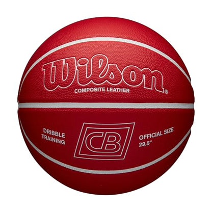 WILSON x Chris Brickley Training Basketballs - Size 6 and Size 7 - size: Size 7 - 29.5", style: Dribble Training Ball