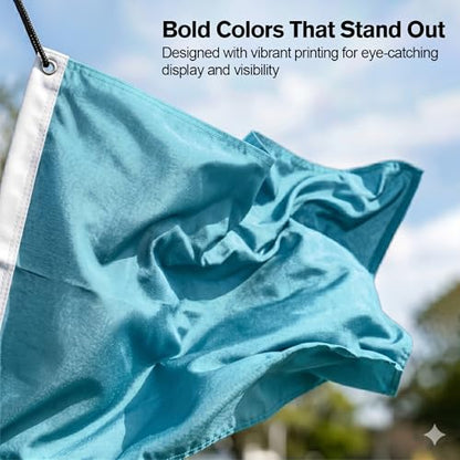 DMSE Solid Light Blue Flag, 3x5 Flag, UV Resistant, Fade Resistant Material with Metal Grommets (3ft x 5ft), (Nylon), (Light Blue) - color: Light Blue, size: Nylon (3 x 5 ft)
