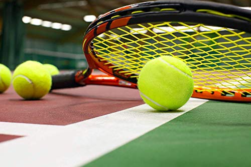 URBEST Tennis Ball 12 Packs Training Tennis Balls Practice Balls for Novice Player, Pet Dog Playing Balls with Mesh Carry Bag - color: Green