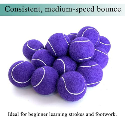 Tennis Balls, 15 Pack Practice Tennis Ball for Beginners, Training Playing Tennis Balls for Dogs, Come with Mesh Carry Bag - color: Purple