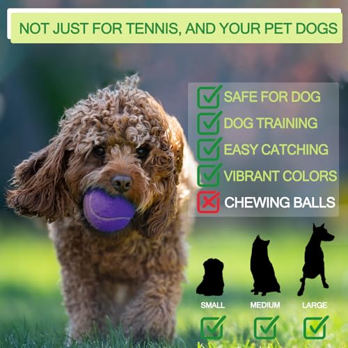 INSUM Bulk Tennis Balls for Beginner – 12 Pack High Elasticity Practice Tennis Balls with Mesh Bag, Suit for Pet Dog Training, Fetching - color: Purple