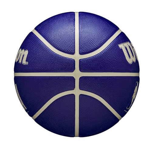 WILSON NBA DRV Outdoor Basketball - Indigo/Beige, Size 5-27.5" - color: Indigo/Beige, size: Size 5 - 27.5", style: DRV