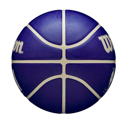 WILSON NBA DRV Outdoor Basketball - Indigo/Beige, Size 5-27.5" - color: Indigo/Beige, size: Size 5 - 27.5", style: DRV