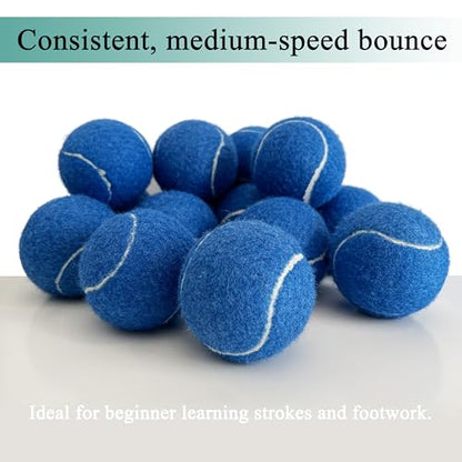 Tennis Balls, 15 Pack Practice Tennis Ball for Beginners, Training Playing Tennis Balls for Dogs, Come with Mesh Carry Bag - color: Navy