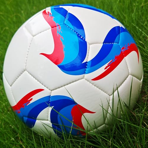 Soccer Ball Size 3,4,5 Kids Training Practice Boys Girls Balls Gift Wear-Resistant Leather Come with Pump School Coach Train Course - size: Size 5