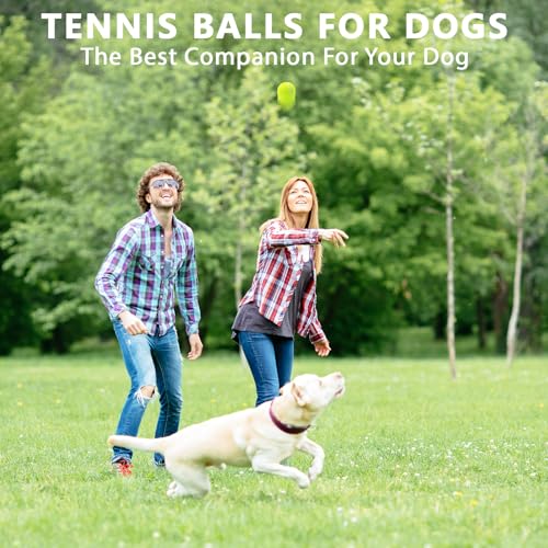 Tennis Balls,8/18/40/90 Pack Training Tennis Balls Practice Balls with Mesh Bag for Easy Transport, Pet Dog Playing Balls, fit for Beginner Training Ball