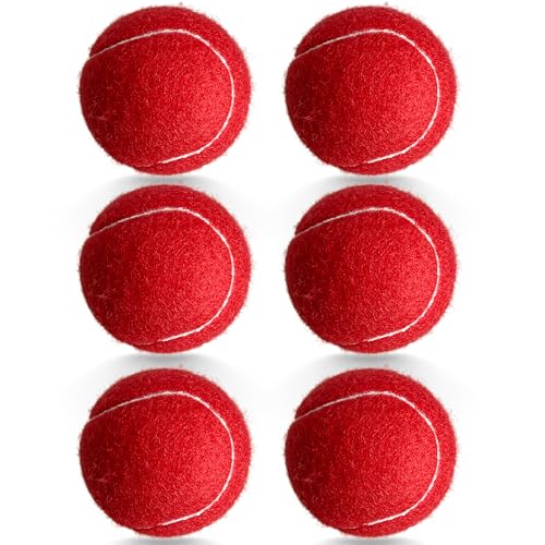 6 Pack Practice Tennis Balls - Long Lasting for Tennis Beginners, Tennis Training Balls, Dog Fetch Toys