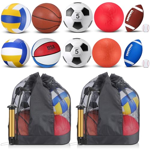 Deekin 12 Pcs Assorted Sport Ball Set for Youth Adult Official Size Basketball Football Volleyball Soccer Baseball Playground Ball with Bag and Pump Gifts
