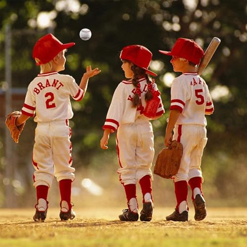 Rarapop Blank Standard Baseball Balls, Official Size 9 Inch Leather Covered Practice Baseball Training Ball for League Play, Pitching, Hitting, Batting, Fielding, Autograph - style: Soft-2pack