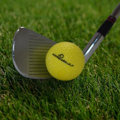 Best Practice Golf Balls on The Planet. Perfect for Golf Training. Solid Contact for Great Feedback. Limited Flight for Backyard use. Safe for Indoors. by AlmostGolf (10 Pack Yellow)