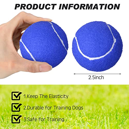 Vinsot 48 Pcs Standard Pressure Tennis Balls Bulk, Training Tennis Balls Practice for Player Beginner Training Sports Ball, 2.5 Inch - color: blue