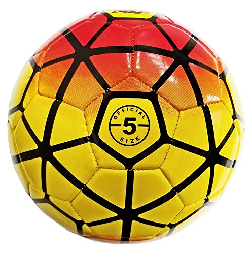 Biggz Durable Soccer Balls Size 5 with Pump