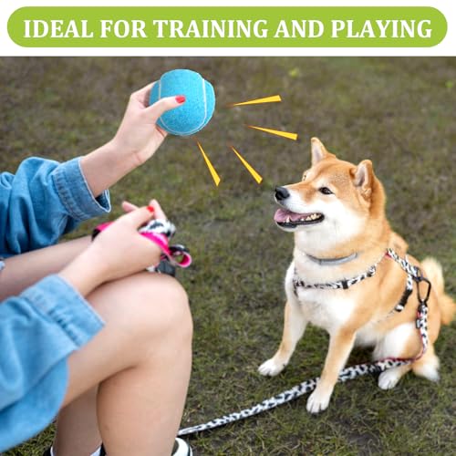 20Pcs Small Tennis Balls for Dogs, 2 Inch Colorful Mini Tennis Balls 5 Colors Pet Puppy Ball for All 2 Inch Dog Ball Launchers
