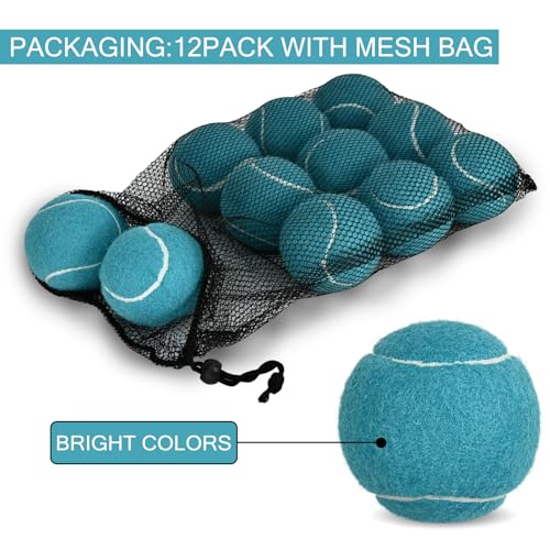 INSUM Bulk Tennis Balls for Beginner – 12 Pack High Elasticity Practice Tennis Balls with Mesh Bag, Suit for Pet Dog Training, Fetching - color: Dark Blue-N