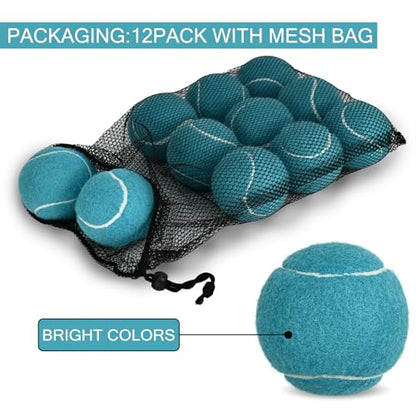 INSUM Bulk Tennis Balls for Beginner – 12 Pack High Elasticity Practice Tennis Balls with Mesh Bag, Suit for Pet Dog Training, Fetching - color: Dark Blue-N