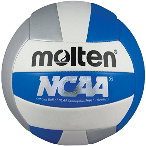 Molten Recreational Volleyball - color: Blue/Silver/White