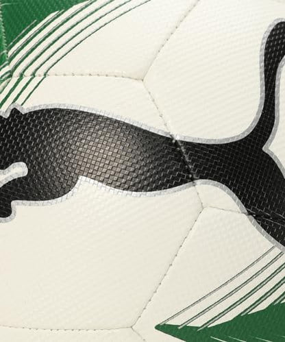PUMA Unisex-Adult Futsal 3 MS IND, White-Dark Green, 4 (8431801)