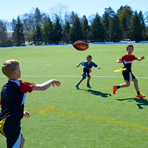 Franklin Sports Mini Playbook Flag Football Set