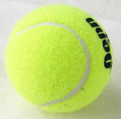 Penn Tennis Ball cans Set - color: Yellow, size: 40 Cans