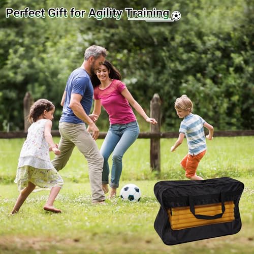 Neoaider 6 FT Agility Poles for Soccer, Basketball, Football, Equestrian, Pet Training, 4/6/8/10 Pack Detachable Soccer Poles w/Rubber Bases, Pole Bending Poles for Horses, Indoor/Outdoor Use - style: 4 Pack