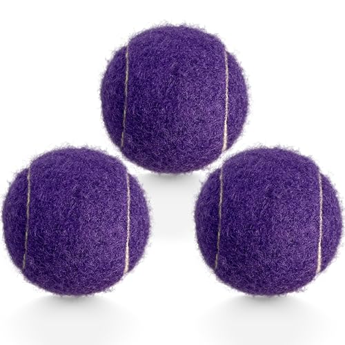 3 Pack Tennis Balls - Long Lasting Practice Balls for Tennis Beginners, Tennis Training Balls, Dog Fetch Toys - color: Purple
