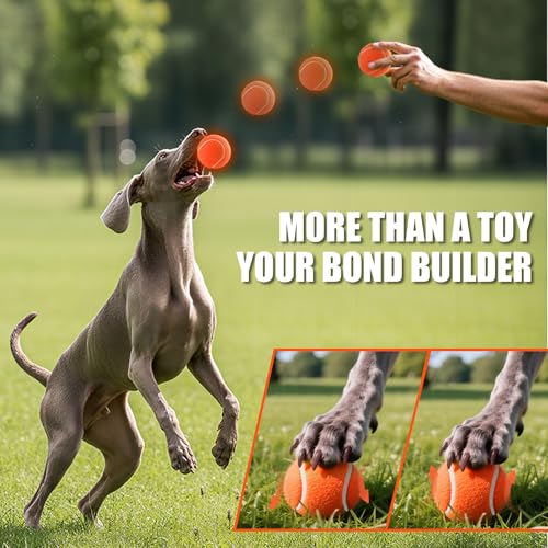 PHOEPET 6-Pack Tennis Balls for Dogs, Bulk Rubber Ball for Fetch Chew Toys Beginner Training Practice(Orange)