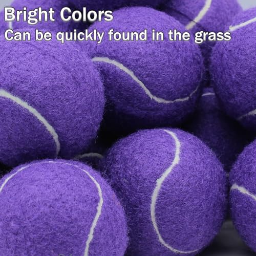 SHYUJAJIE Tennis Balls, 20 Pack Training Tennis Balls,High Elasticity Practice Tennis for Beginner, Exercise Playing Balls for Pet Dog - color: Purple