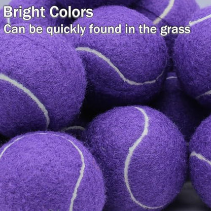SHYUJAJIE Tennis Balls, 20 Pack Training Tennis Balls,High Elasticity Practice Tennis for Beginner, Exercise Playing Balls for Pet Dog - color: Purple