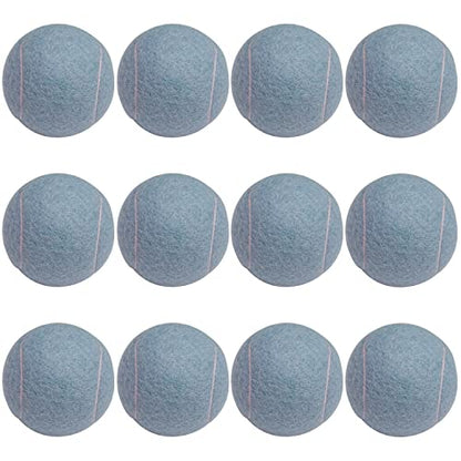URBEST Tennis Ball 12 Packs Training Tennis Balls Practice Balls for Novice Player, Pet Dog Playing Balls with Mesh Carry Bag - color: Blue Violet